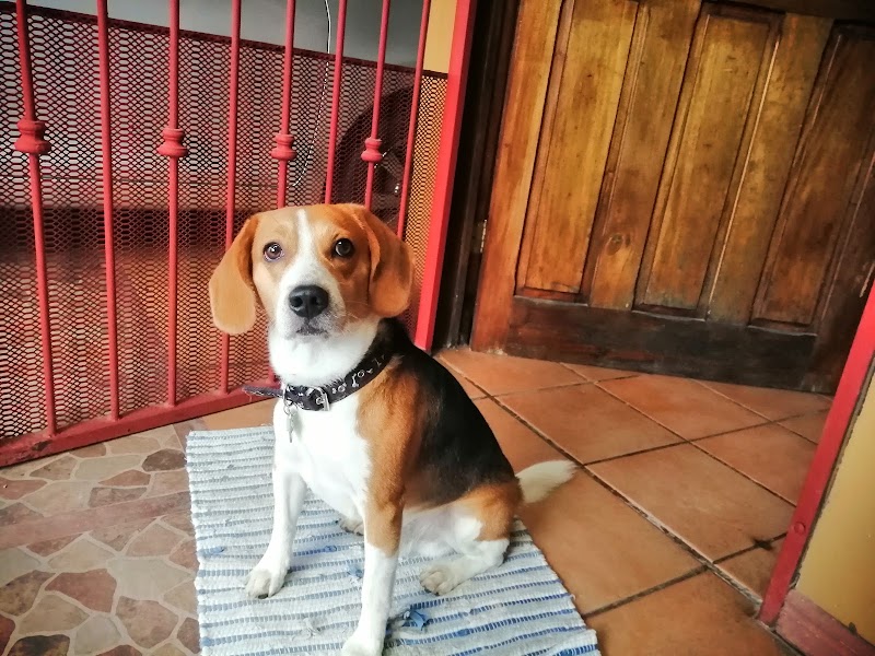 Veterinaria Dr. Mora